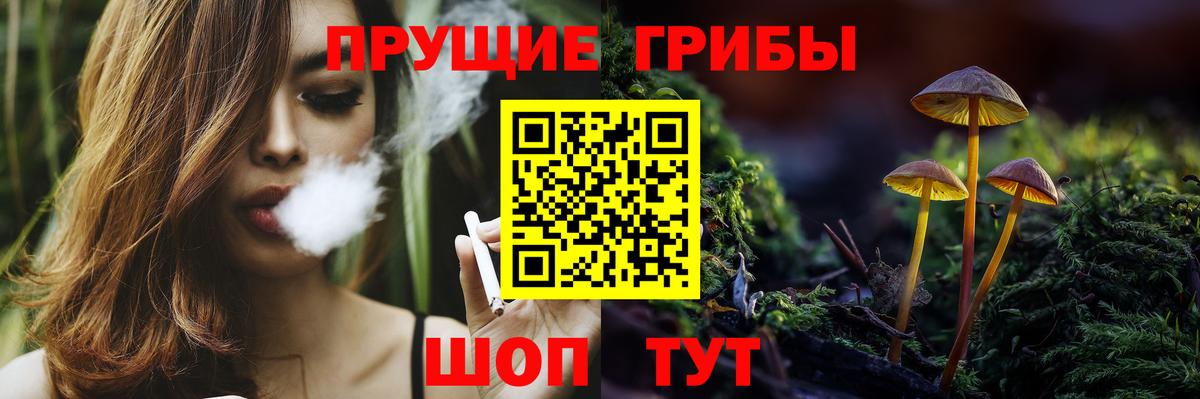 Лесосибирск  Псилоцибиновые грибы Magic Shrooms  Вход с VPN 